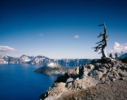 Tree at the edge of Crater Lake, Oregon y0PRr4