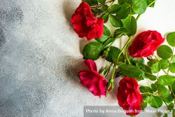 Fresh red roses on marble counter 4mWdnW