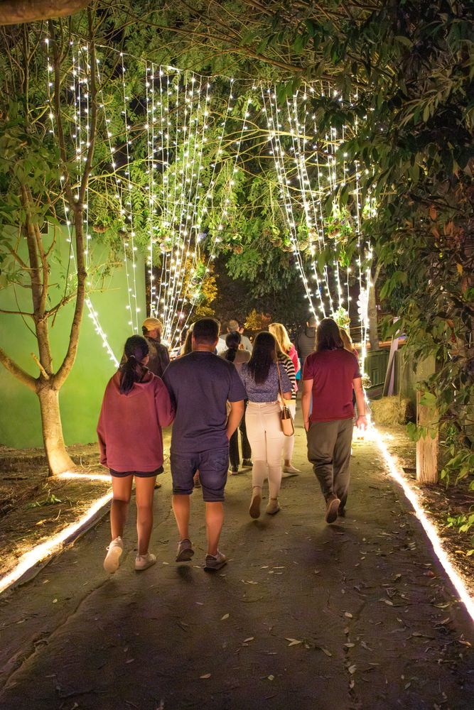 Friends group walking for pathway on a summer night music festival in nature