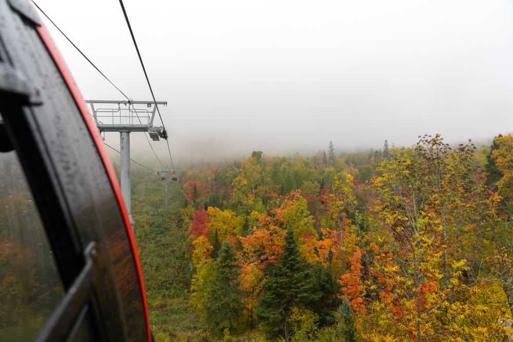 View of fall forest from cable car