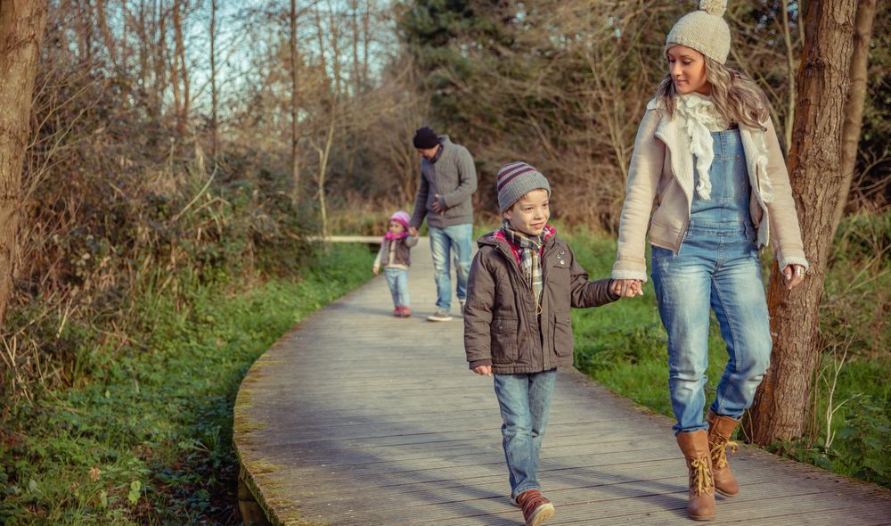 Family of four walking on trail in forest