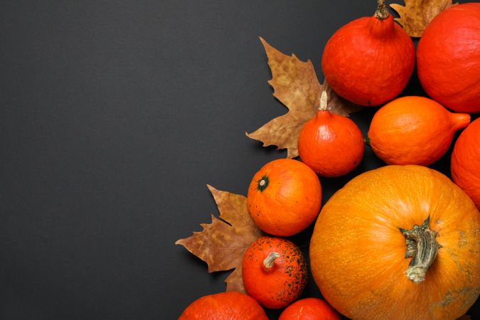 Composition with pumpkins and leaves on dark background, copy space