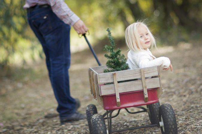 Father Pulls Baby Girl in Wagon with Christmas Tree