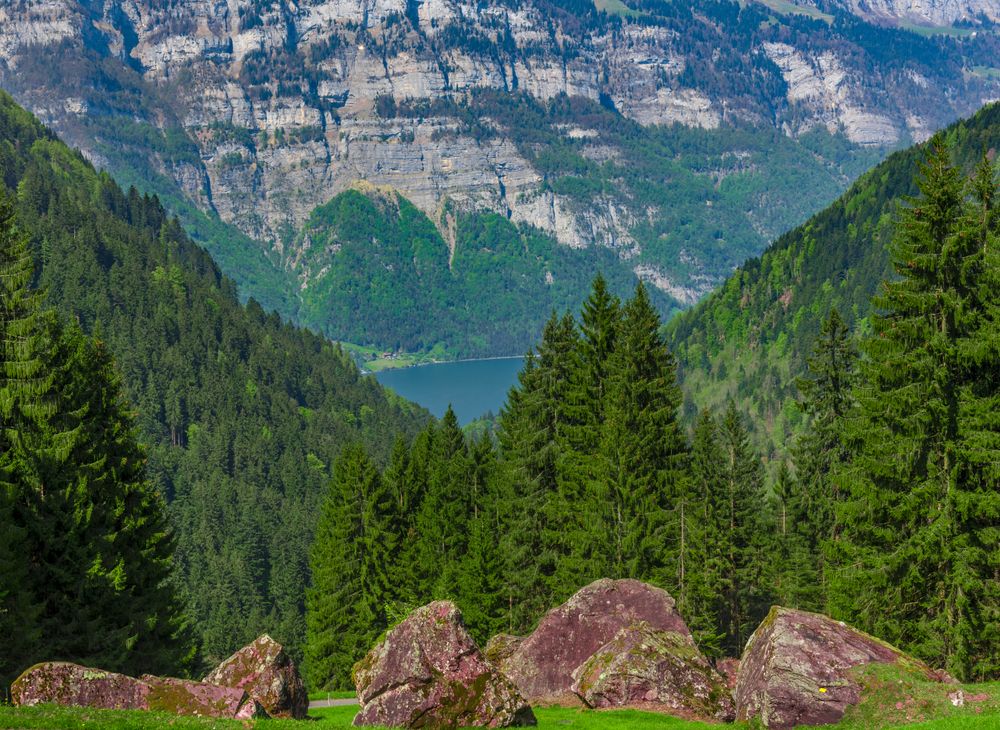 Mountain rocks with forest in the background