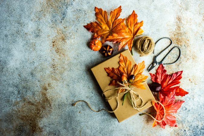 Rustic background with giftbox and fall leaves