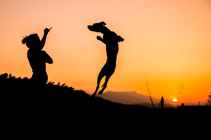 Female playing with dog at hilly area in evening