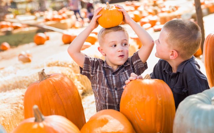 Two Boys Having Fun at the Pumpkin Patch .on a Sunny Fall Day.