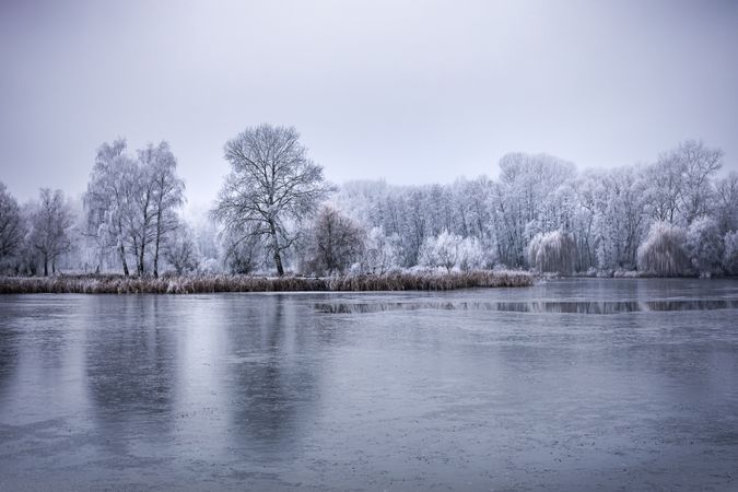 Winter lake on an overcast day