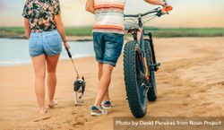 Back of male and female walking with bicycle and dog along sandy coastline 5o2ly0