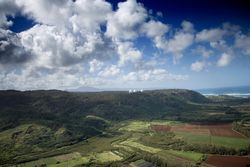 Aerial view of pinapple farms in Hawaii