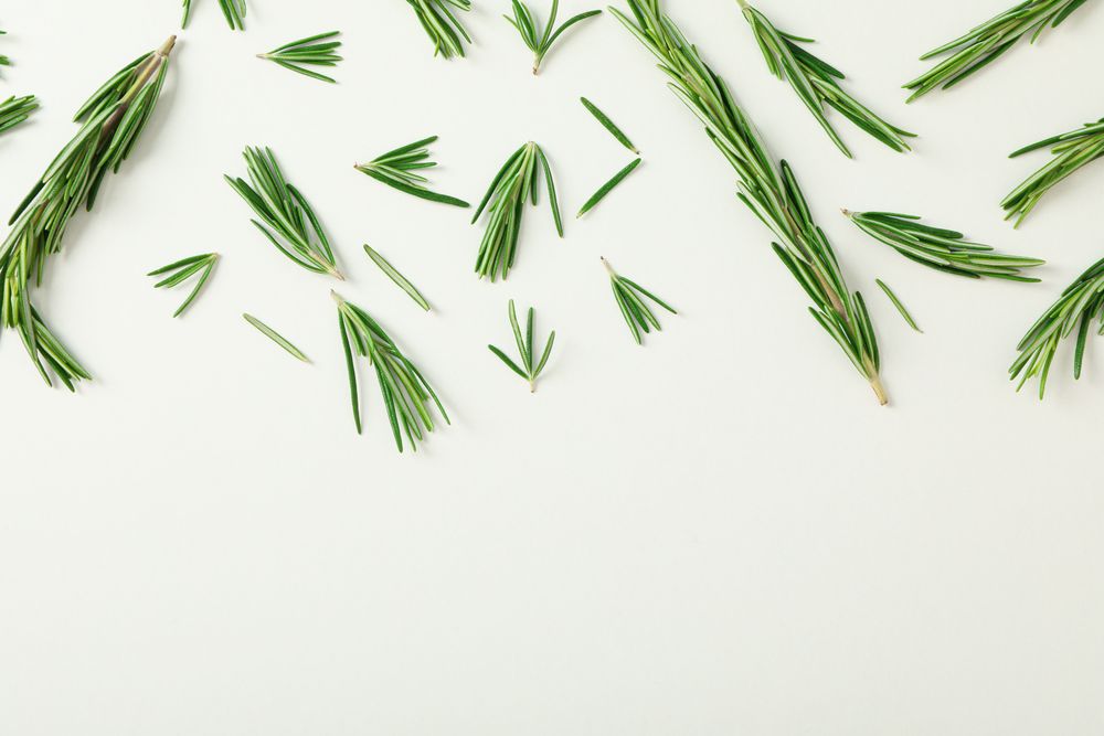 Flat lay composition with rosemary on blank background, space for text