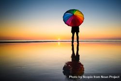 Silhouette of person holding  rainbow umbrella standing on seashore during sunset 4B71db