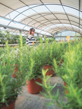 Female choosing potted tree in greenhouse