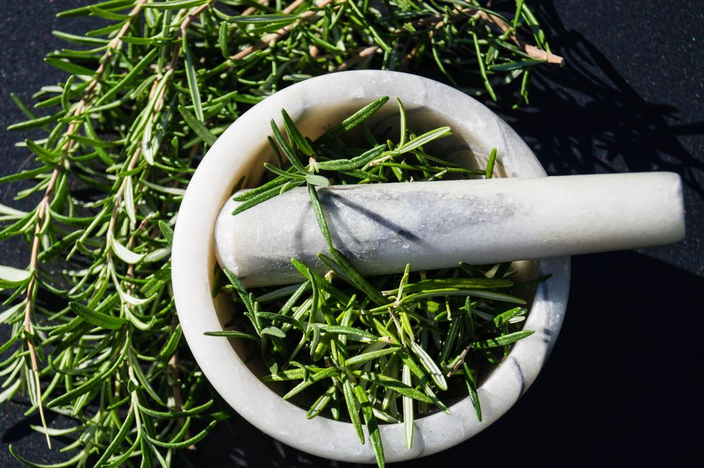 Rosemary in gray ceramic pot