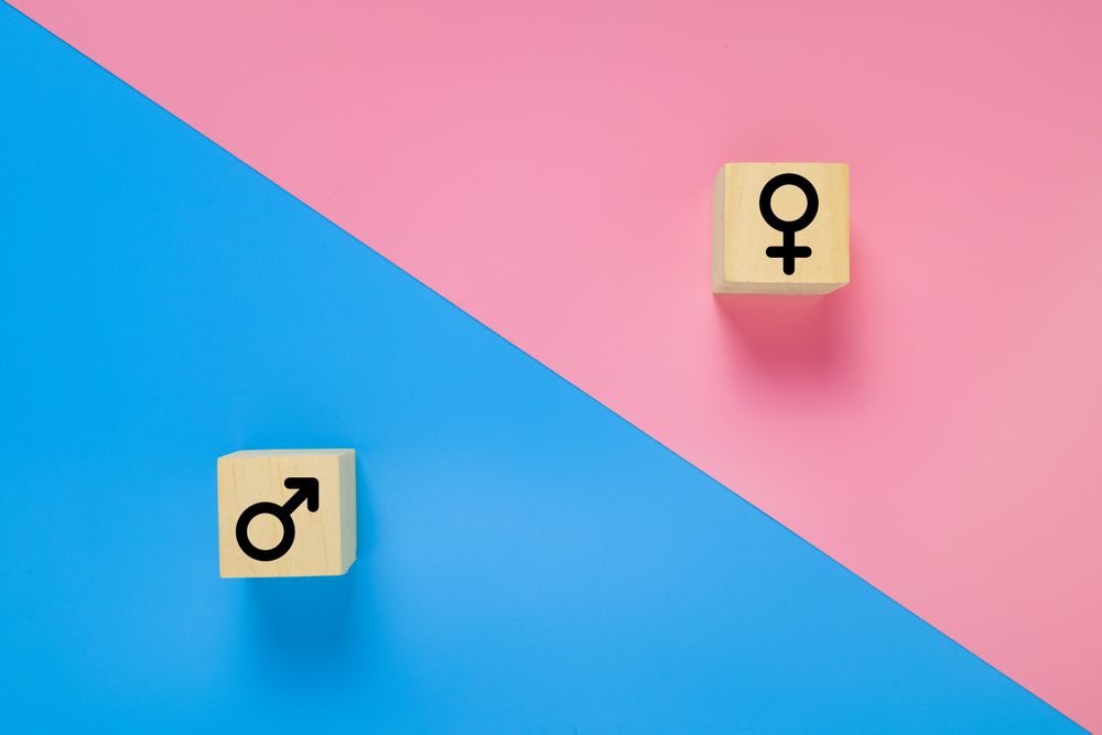 male and female symbols on wooden blocks isolated on pink and blue background. gender equality concept