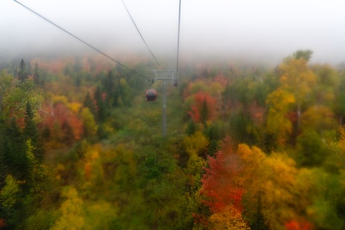 View of autumnal forest from cable car