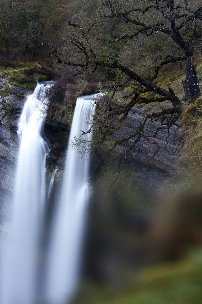 Autumn tree and waterfall