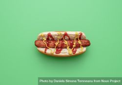 Hot dog top view minimalist on a green background 471Rl0