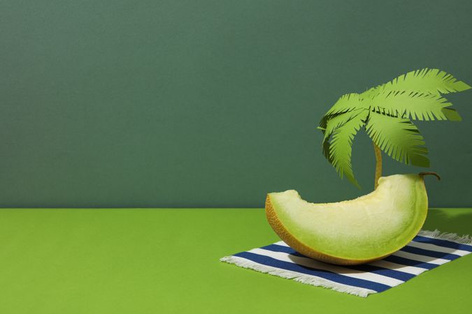 Juicy and tasty summer time fruit concept - melon