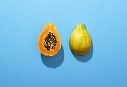 Ripe papaya fruit cut in half on blue table