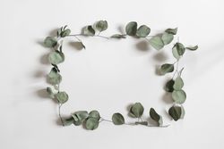 Green floral square frame made of dry eucalyptus tree leaves and branches