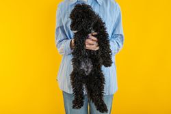 Woman in blue shirt holding up cute dog