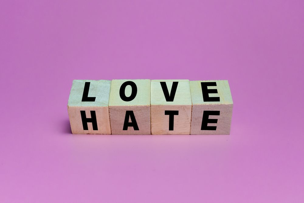 flip wooden blocks with love and hate words tex isolated on pink background