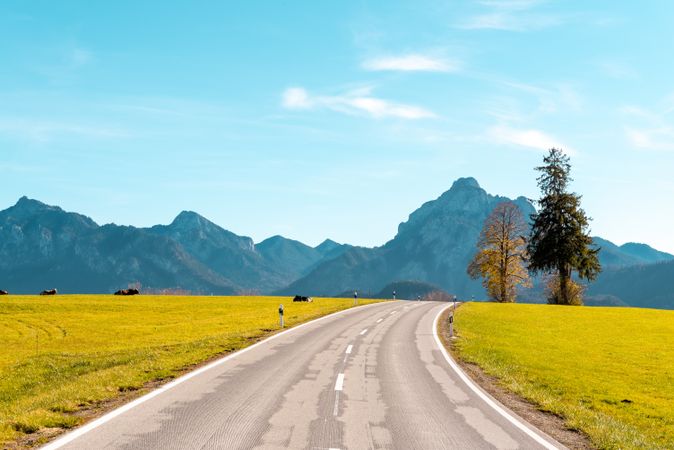 Landscape with road and green pasture in Bavarian Alps
