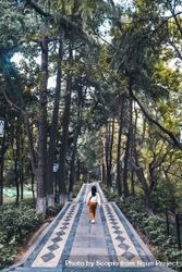 Woman walking on a patterned concrete pathway in the woods 5Qdym0