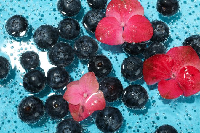 Top view of blueberries soaking in sparkling water with flowers