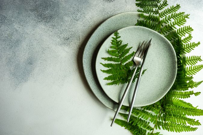 Elegant summer table setting with fern with copy space