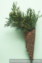 Christmas holiday concept with cone full of green thuja on green pastel background 5a2Po4