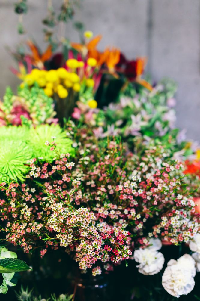 Spring flowers display in the flower shop.