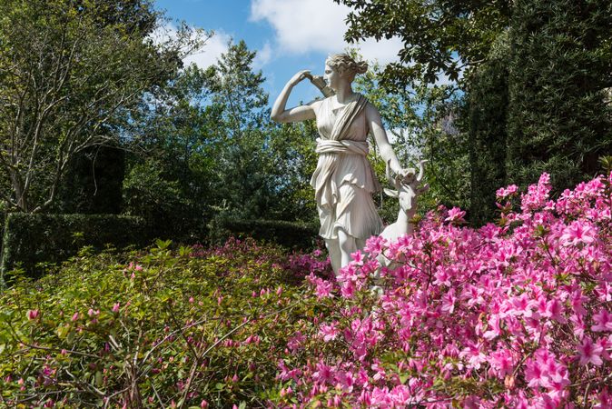 The statue of Diana, Roman goddess, with pink flowers in Bayou Bend Collection, Houston, Texas