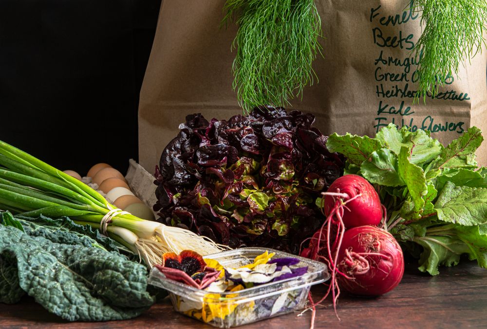 Farm fresh produce or organic produce theme.