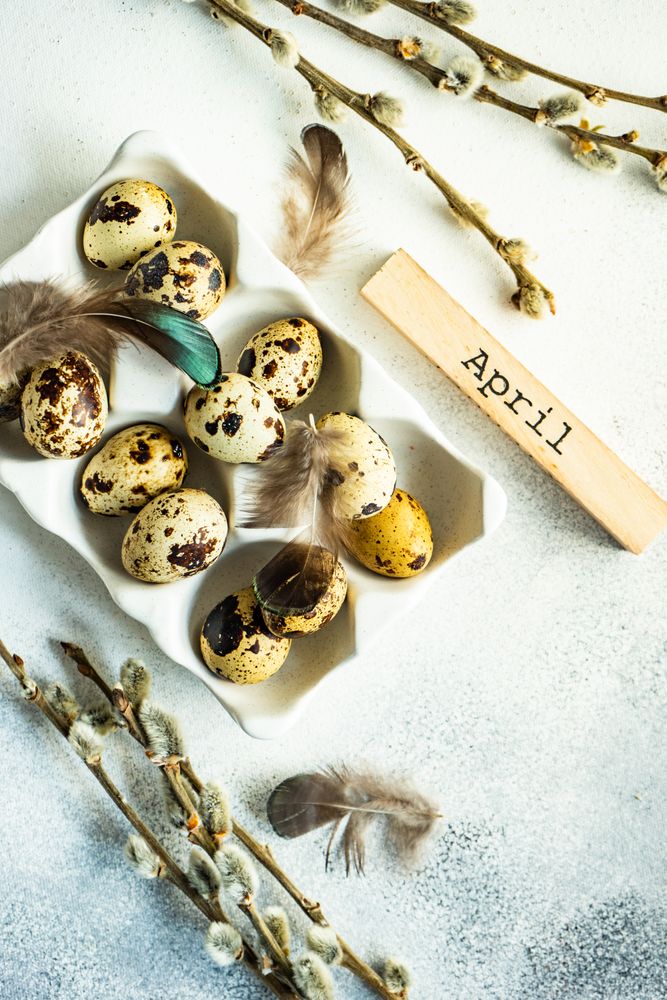 Easter card concept with carton full of small speckled eggs