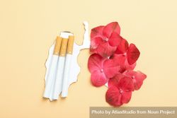 Cigarettes on burnt paper with flowers 4dRBQ0