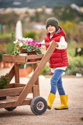 Cute preschool boy rolling wooden garden cart with potted flower