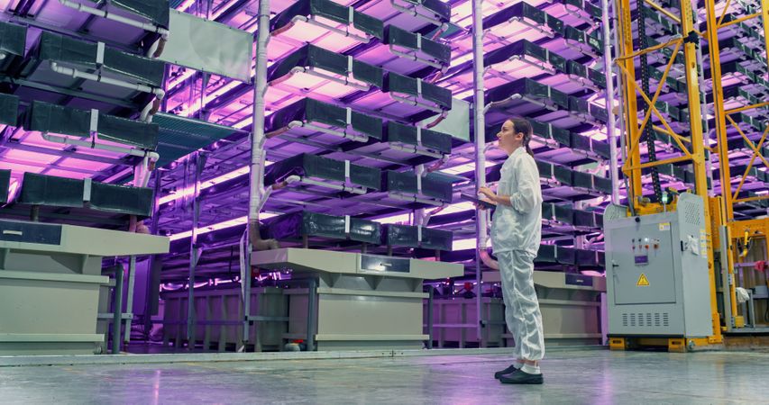 Young Female Farmer Standing in a Vertical Farm Facility with LED Lights. Hydroponics Technician Using a Tablet, Studying and Cultivating Plants, Planning Delivery of Greens To Supermarkets.