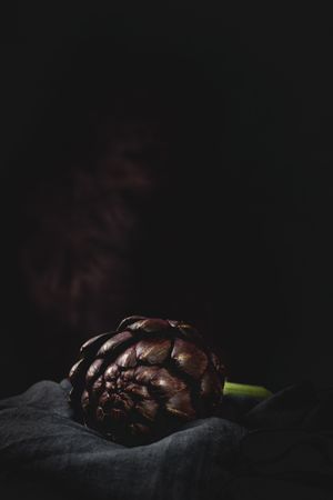 Fresh raw purple artichokes on dark background.