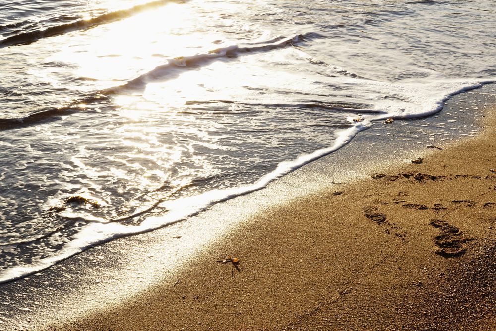 wet sandy shore on sunny day in beach