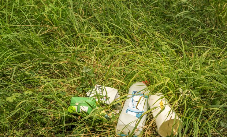 Bunch of household trash lying on grass