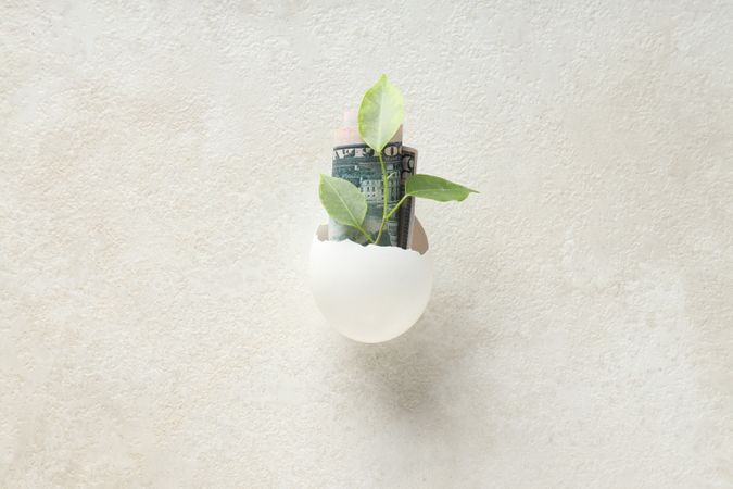 Composition with egg shell and money - retirement