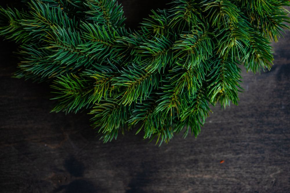 Close up of fir branch wreath on wooden table