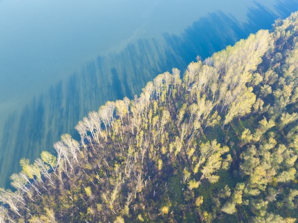 Seasonal Forest Reflections on Calm Water Surface.