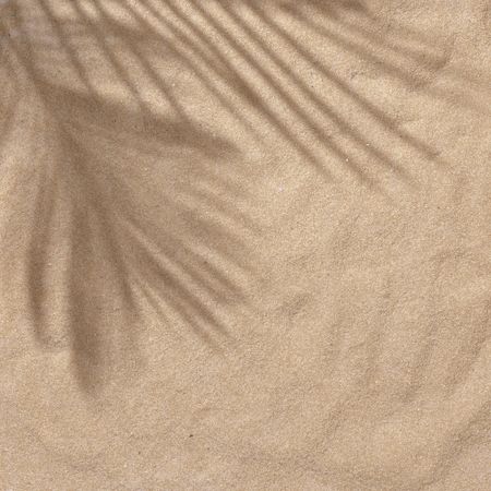 Sand with palm leaf shadows