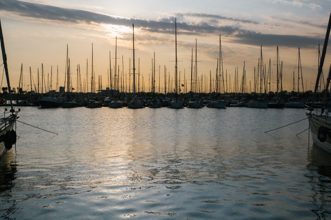 Slender rows of yachts with masts up at sunset in water