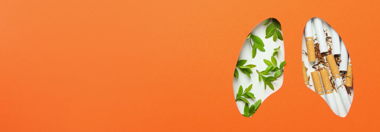 Banner of lung shape cut out of orange paper with cigarettes and foliage