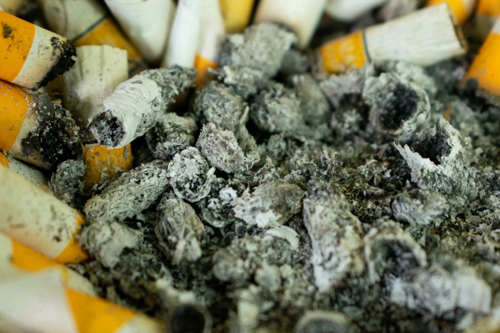 Close up of cigarette butts