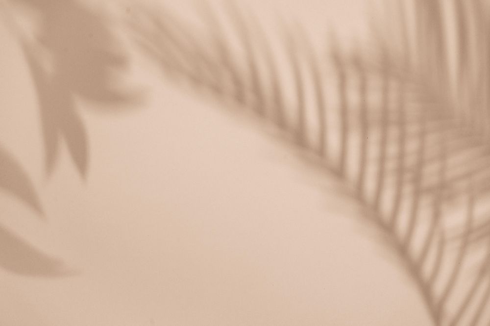 Flat lay of shadow of palm leaf beige background
